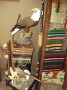 DSCF7801.JPG