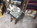 DSCF7800.JPG