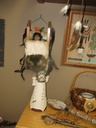 DSCF7816.JPG