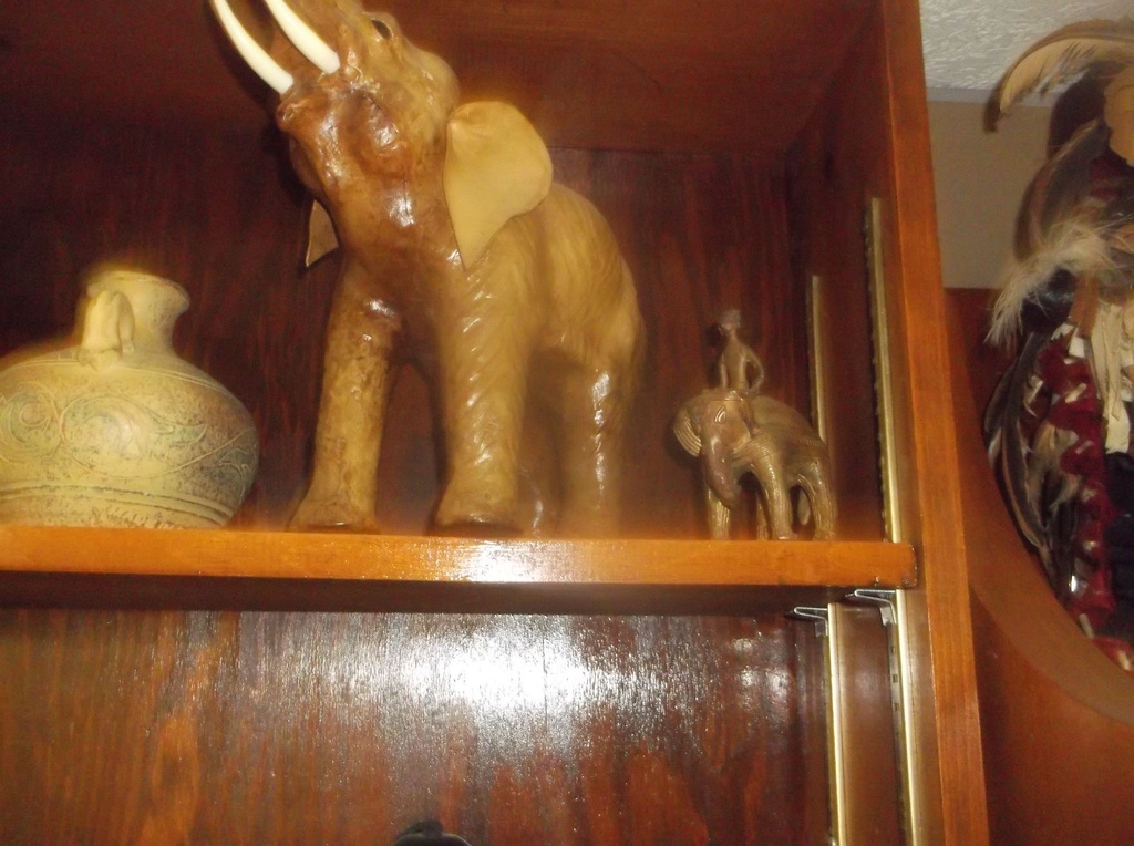 DSCF7860.JPG