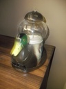 DSCF7888.JPG
