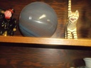 DSCF7883.JPG