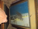 DSCF7964.JPG