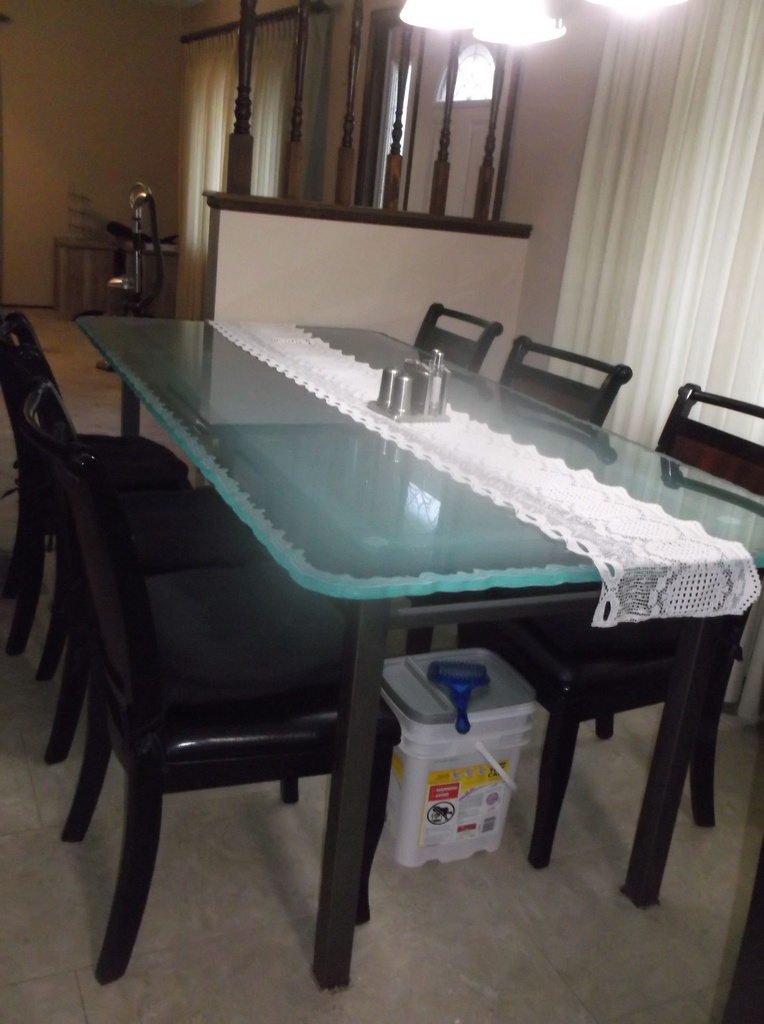 DSCF7995.JPG