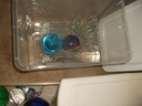 DSCF8027.JPG