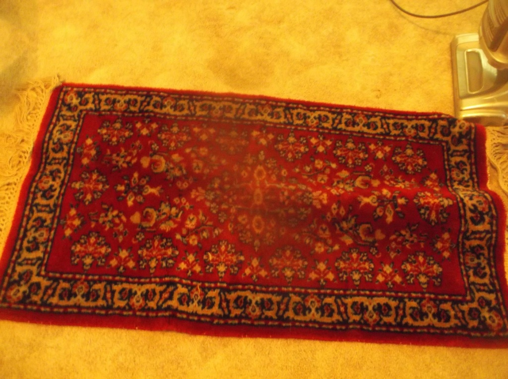 DSCF8049.JPG