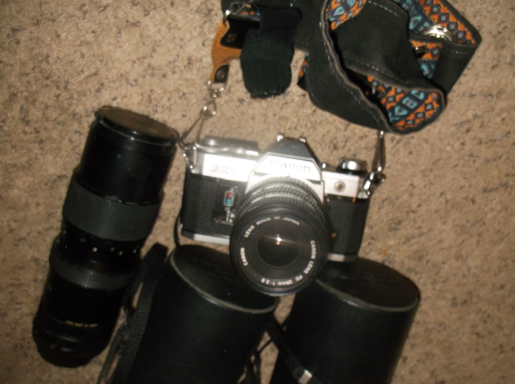 DSCF8090.JPG