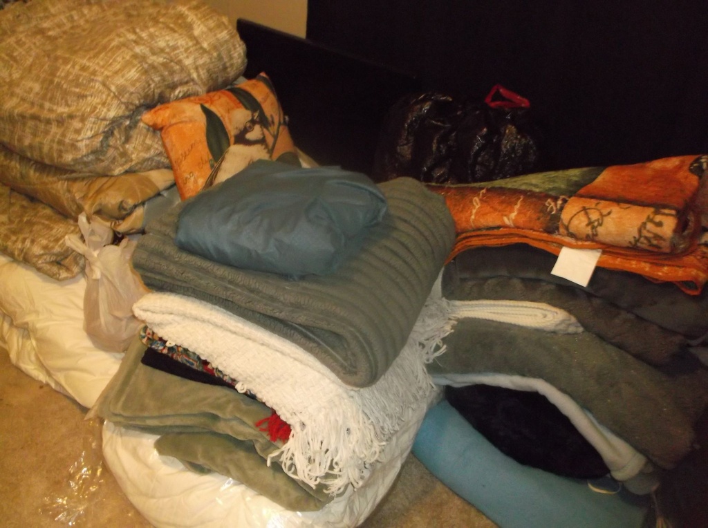 DSCF8073.JPG
