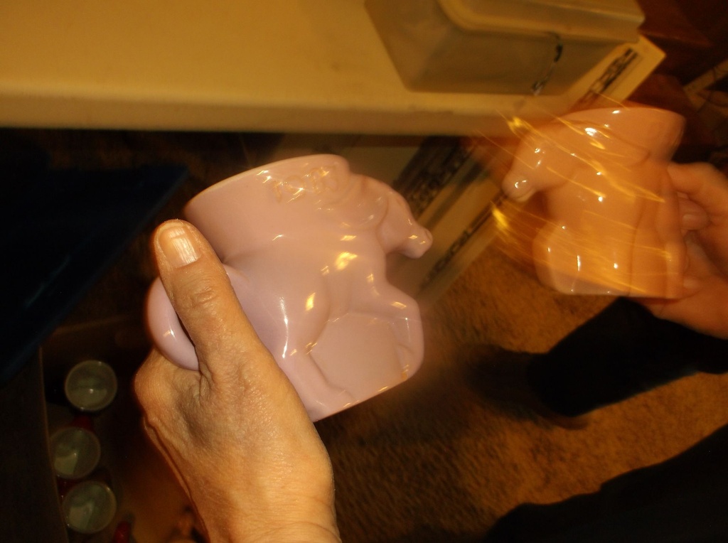 DSCF8113.JPG