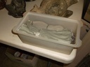 DSCF8102.JPG