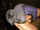 DSCF8127.JPG