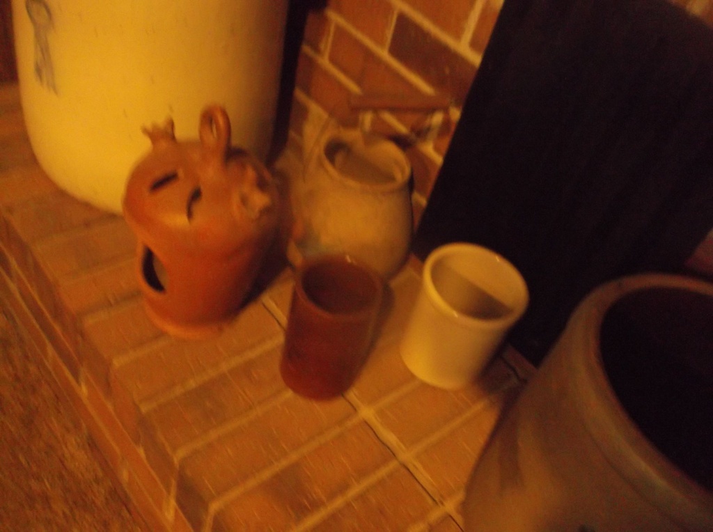 DSCF8143.JPG