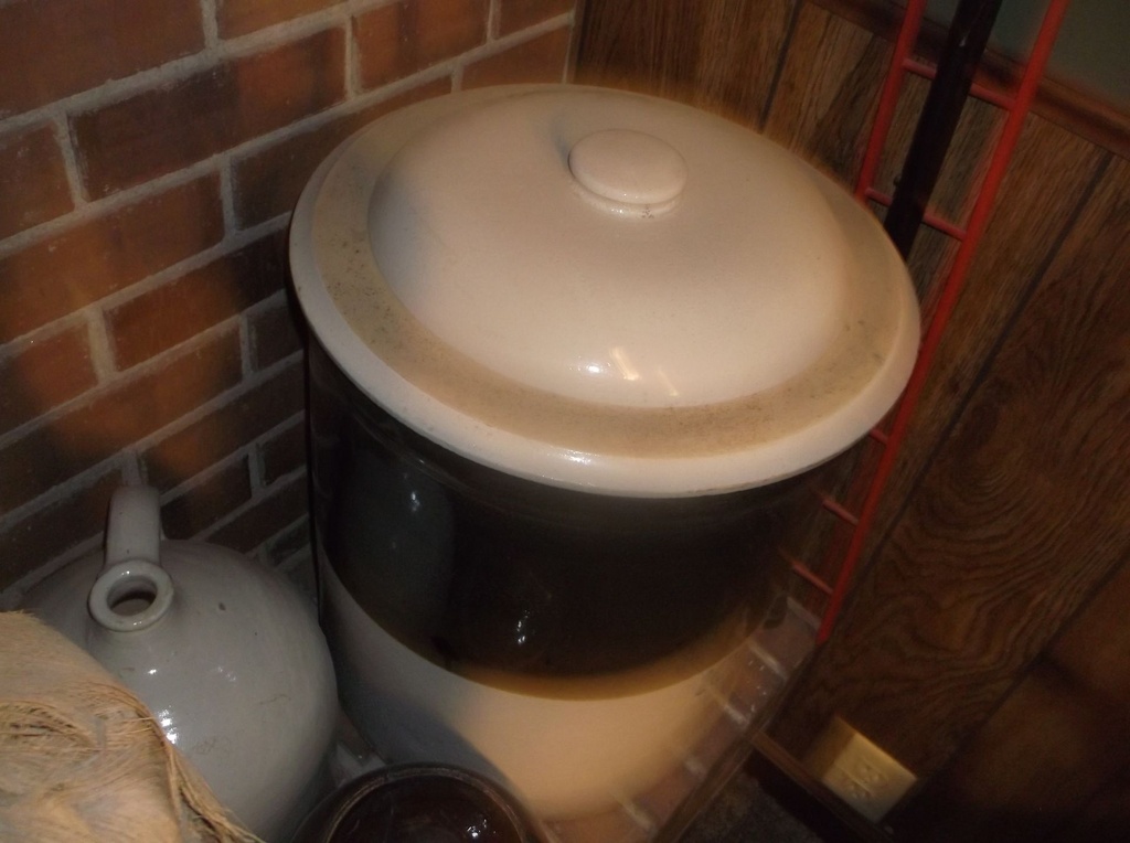 DSCF8137.JPG