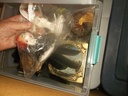 DSCF8170.JPG