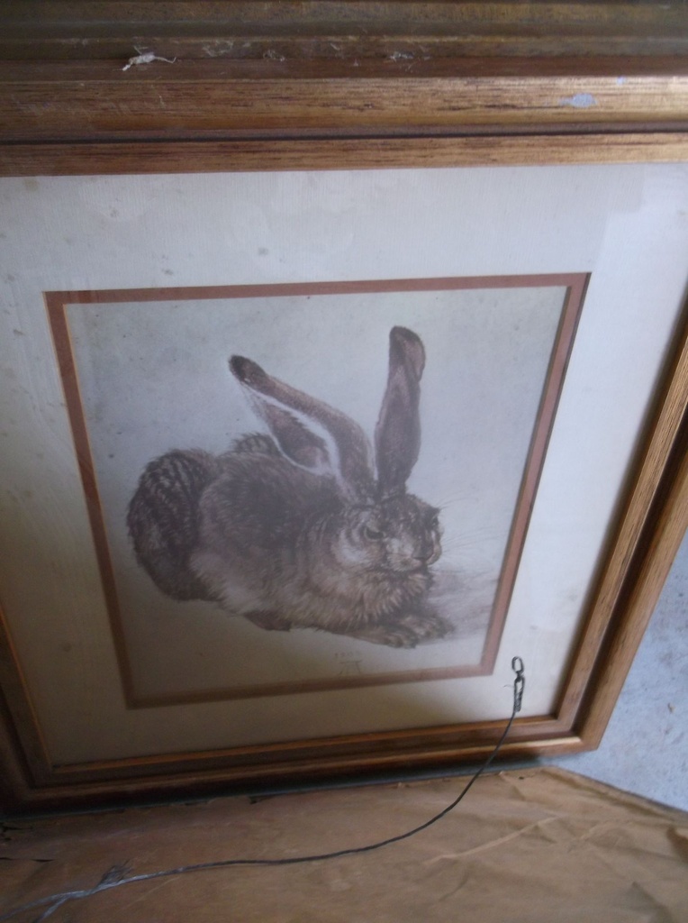 DSCF8193.JPG