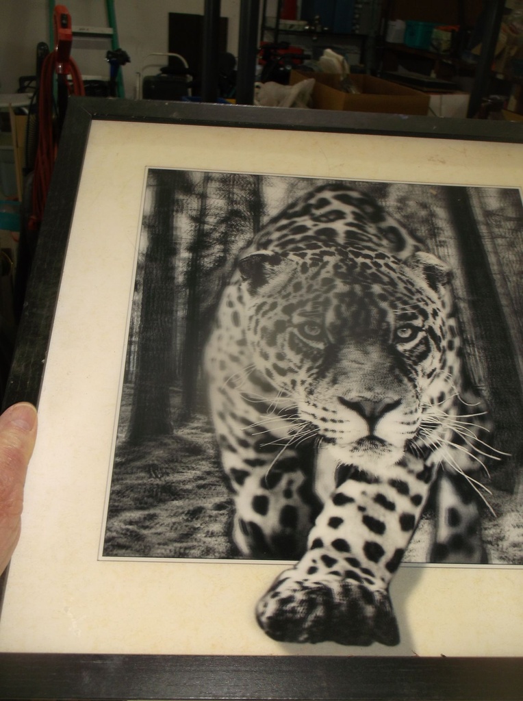 DSCF8178.JPG