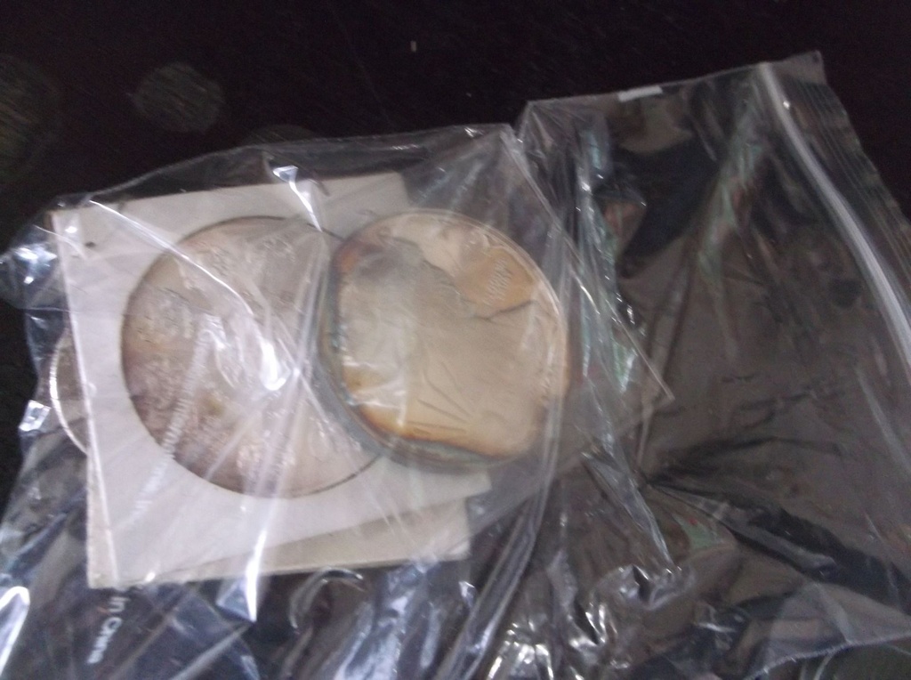 DSCF8202.JPG