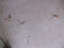 DSCF8198.JPG