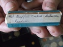 DSCF8219.JPG