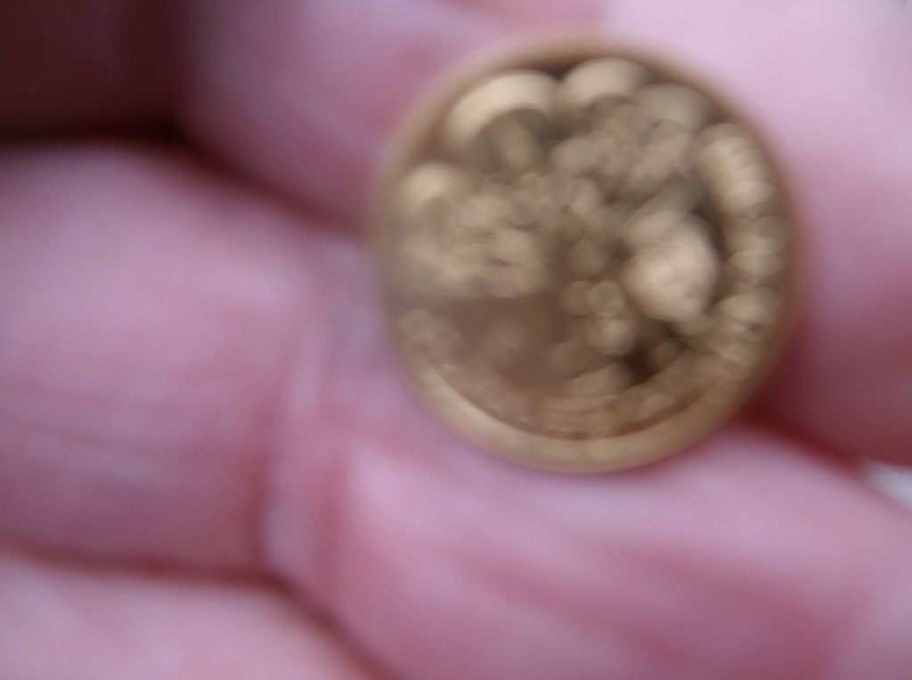 DSCF8216.JPG