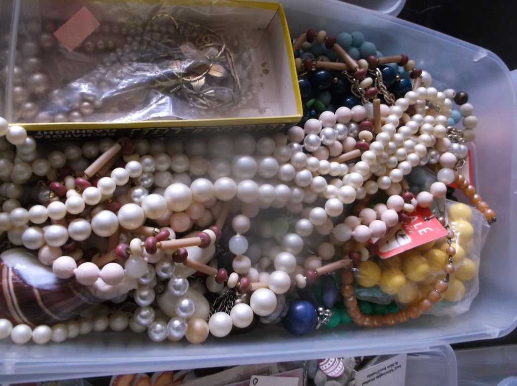 DSCF8251.JPG