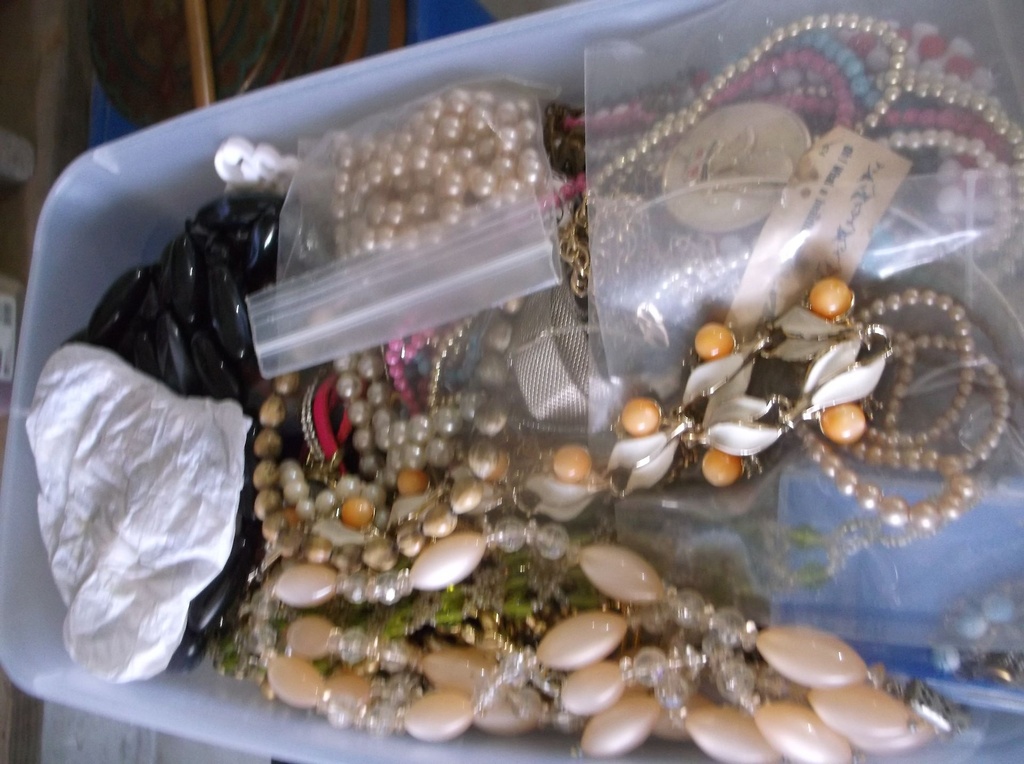 DSCF8246.JPG