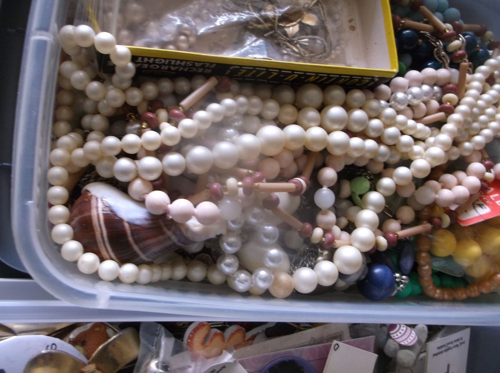 DSCF8244.JPG