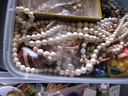 DSCF8244.JPG