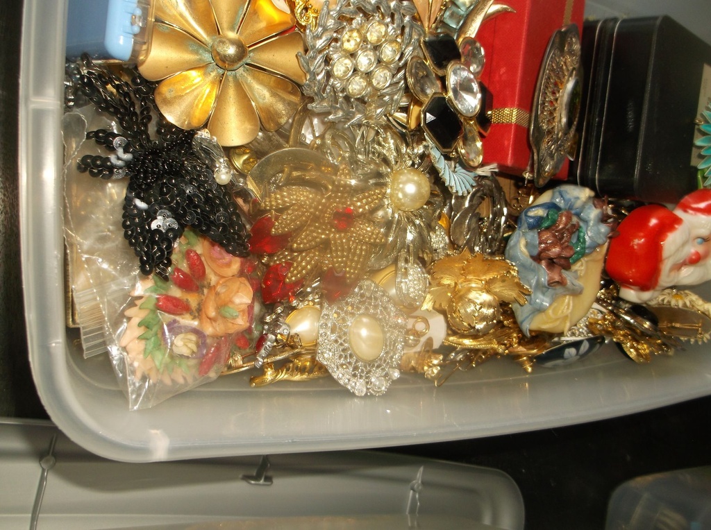 DSCF8243.JPG