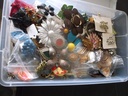 DSCF8282.JPG