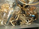 DSCF8264.JPG
