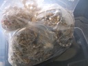 DSCF8290.JPG