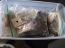 DSCF8342.JPG