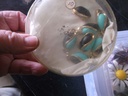 DSCF8327.JPG