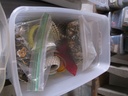 DSCF8360.JPG
