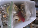 DSCF8354.JPG