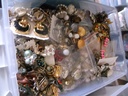 DSCF8352.JPG