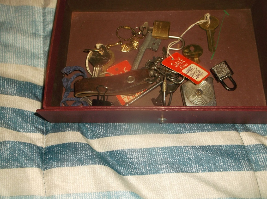 DSCF8369.JPG