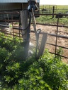 DSCF9077.JPG