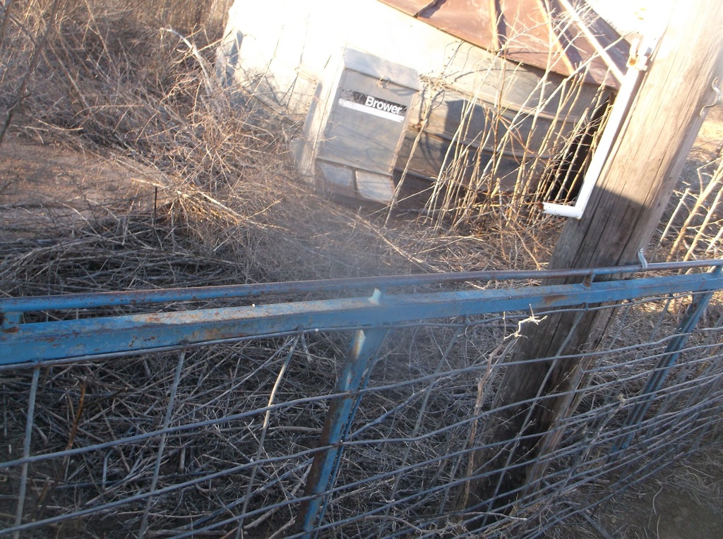 DSCF4829.JPG