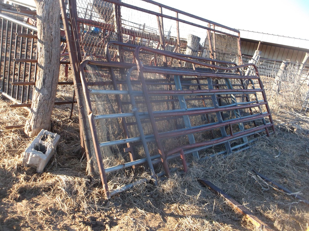 DSCF4809.JPG