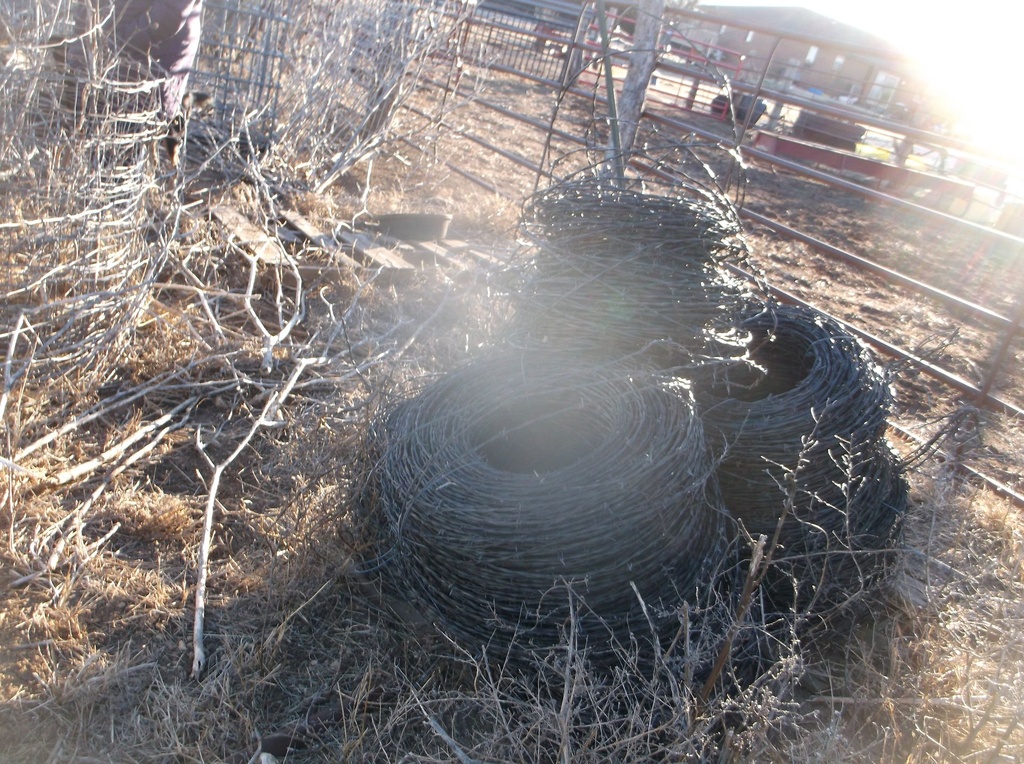 DSCF4808.JPG