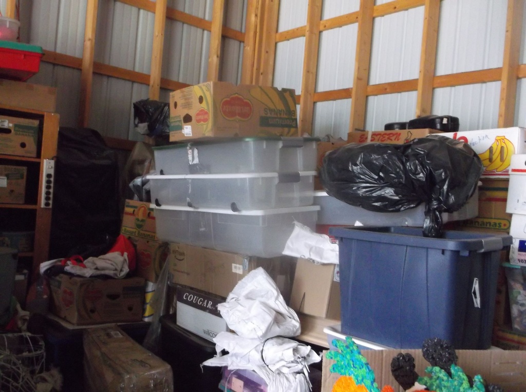 DSCF9567.JPG