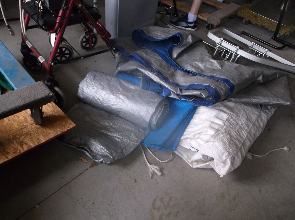 DSCF9559.JPG