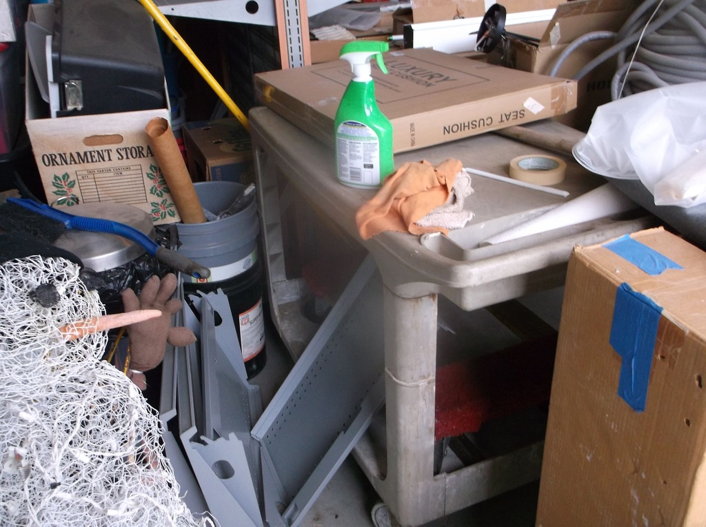 DSCF9558.JPG