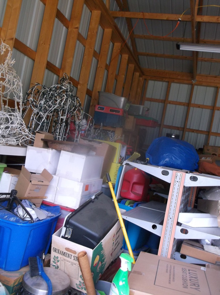 DSCF9554.JPG