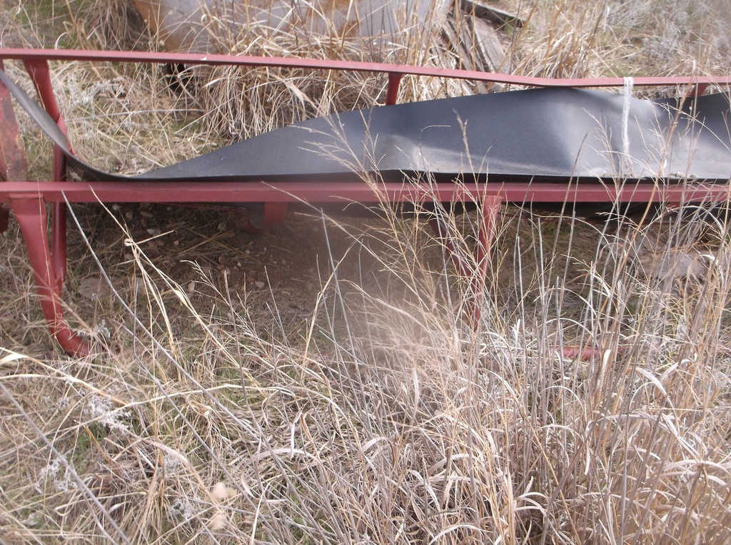 DSCF7739.JPG