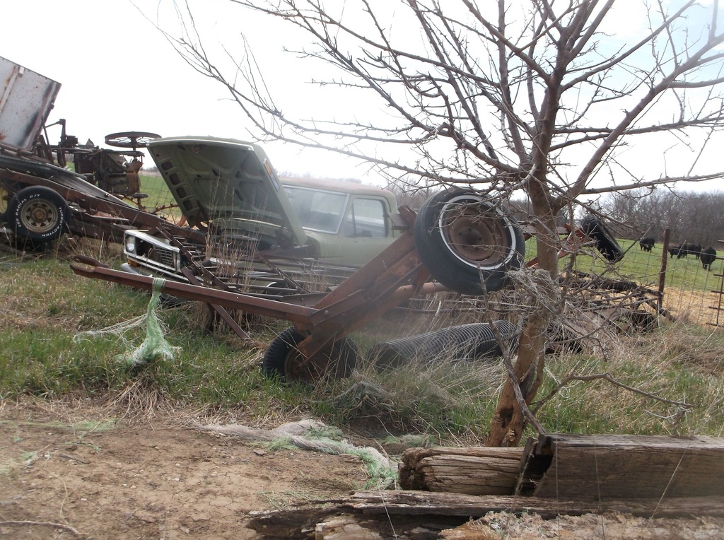 DSCF7752.JPG