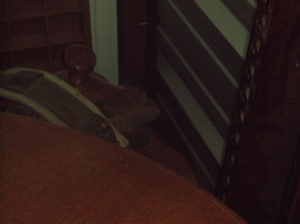 DSCF7780.JPG