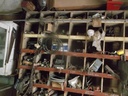 DSCF7485.JPG